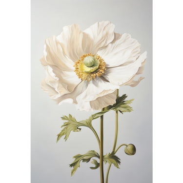 White Poppy Canvas